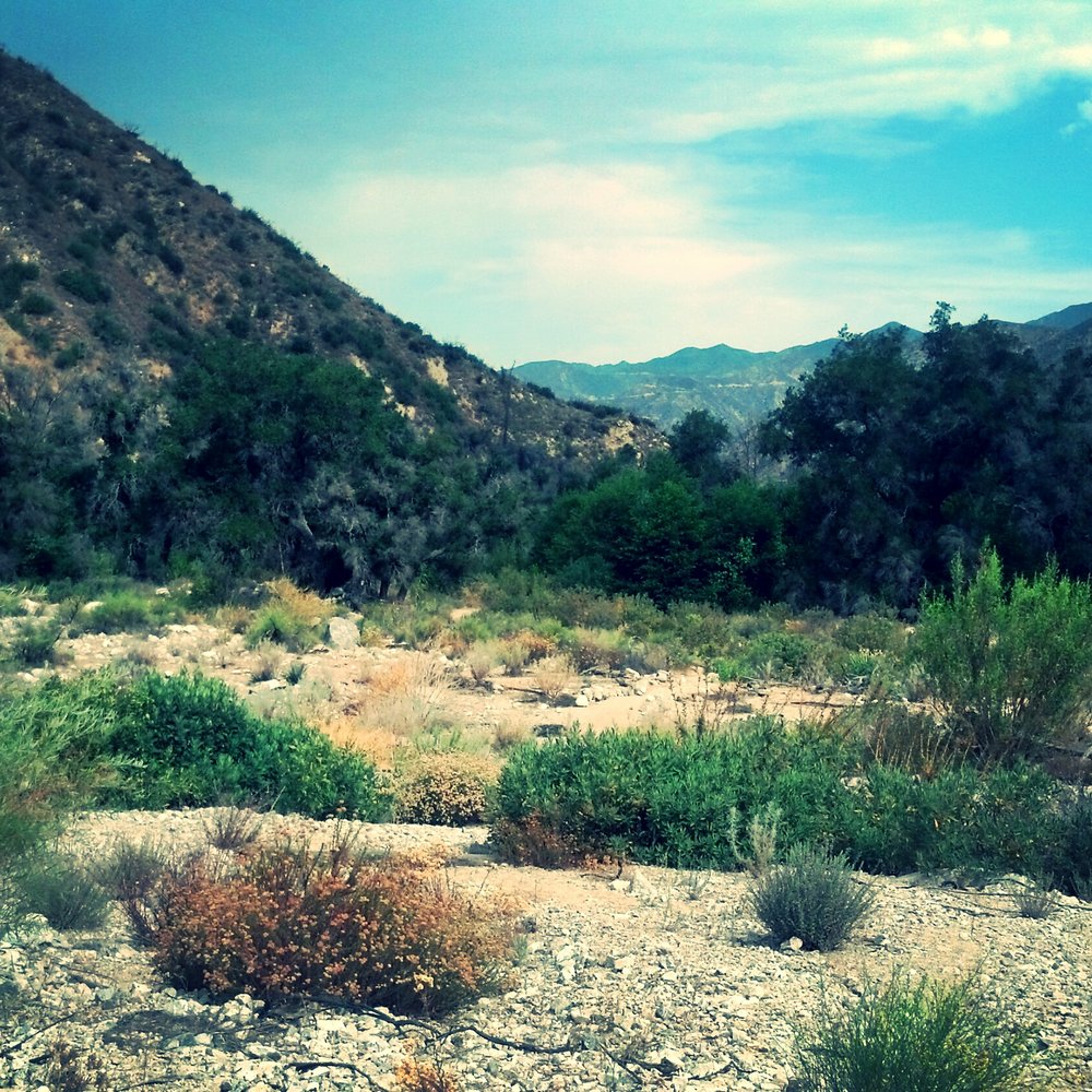 Angeles National Forest - Parks Near Me - Arcadia, California