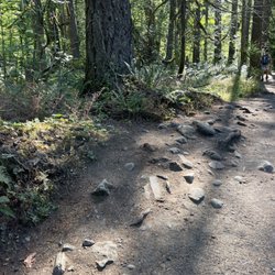 Olallie State Park
