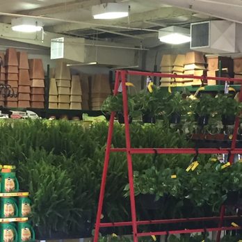 Houston Garden Centers - Landscaping Near Me - Pasadena, Texas