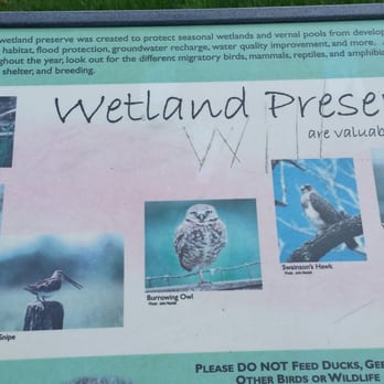 Hawkins Park - Wetland educational material! - Parks Near Me - Elk Grove, California Hawkins Park - Wetland educational material! - Parks Near Me - Elk Grove, California