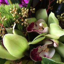 Showcase Flowers - Unique flowers