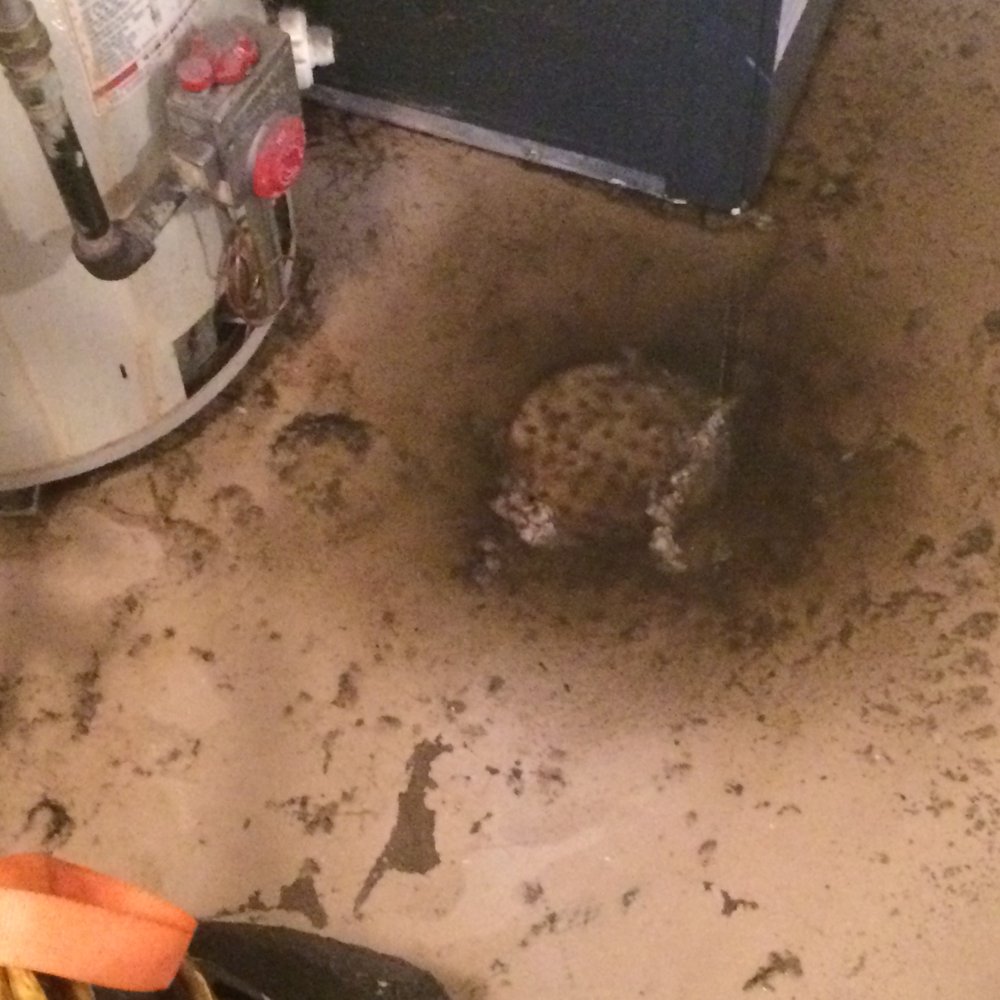 Slide of Drain Busters