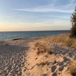 Mt McSauba Park & Recreation Area - Dunes