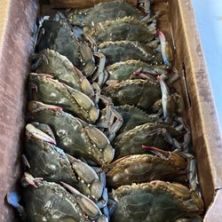 Liberty Fish Market - Soft shell crab