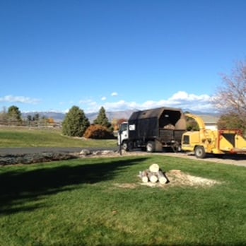 TLC Tree Expert - Professional Service - Tree Services Near Me - Boulder, Colorado TLC Tree Expert - Professional Service - Tree Services Near Me - Boulder, Colorado