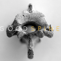 GoodSpine Chiropractic & Sports Therapy