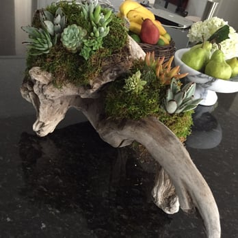 OC Succulents - Made by Karla - Nurseries & Gardening Near Me - Irvine, California