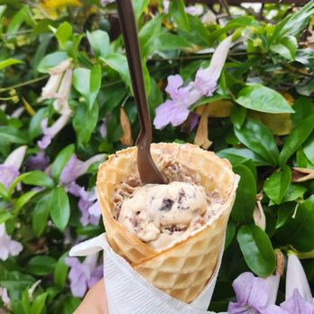 Salt & Straw - Ice Cream & Frozen Yogurt Near Me - Sacramento, California Salt & Straw - Ice Cream & Frozen Yogurt Near Me - Sacramento, California
