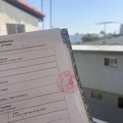 Write Now Notary Service + Taxes