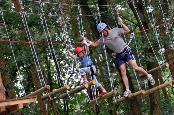 Climb Up Kletterwald In Klaistow
