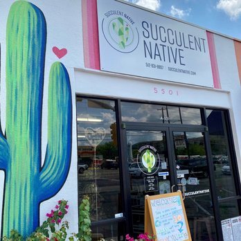 Succulent Native - Nurseries & Gardening Near Me - Austin, Texas