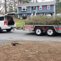 Tree Service Bridgewater