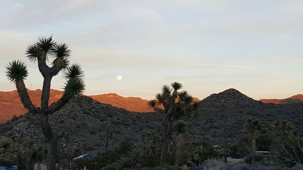Black Rock Canyon Campground by null