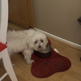 VEG ER for Pets - Emergency Pet Hospital Near Me - Stevenson Ranch, California VEG ER for Pets - Emergency Pet Hospital Near Me - Stevenson Ranch, California