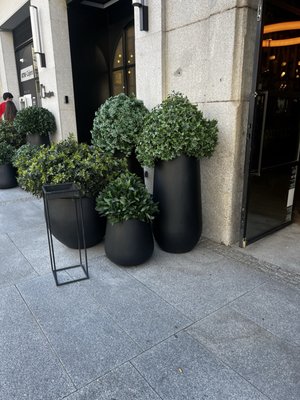 Hotel Regina Madrid by null