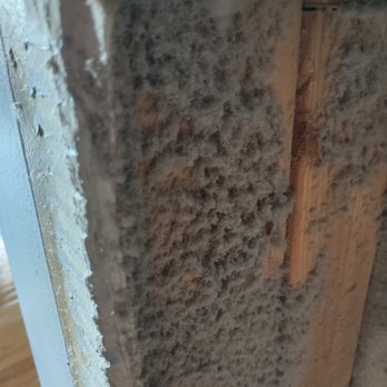 Stanley Steemer - Carpet Cleaning Near Me - Dublin, Ohio Stanley Steemer - Carpet Cleaning Near Me - Dublin, Ohio