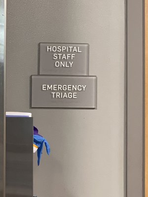 The Spoiled Dog Groomery