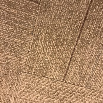 Hampton Inn & Suites Cleveland/Independence - Another piece of evidence showing the floor was not vacuumed- clothing tag! - Hotels Near Me - Independence, Ohio Hampton Inn & Suites Cleveland/Independence - Another piece of evidence showing the floor was not vacuumed- clothing tag! - Hotels Near Me - Independence, Ohio