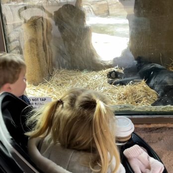 Bearizona - Zoos Near Me - Williams, Arizona