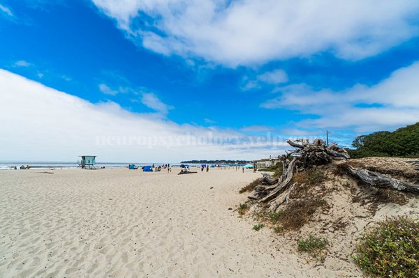 Stinson Beach by null