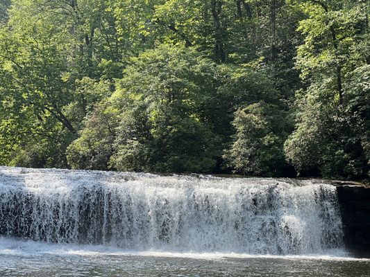 DuPont State Recreational Forest by null