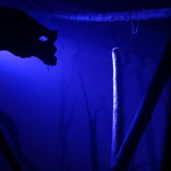 Clues Hunt - Cripta