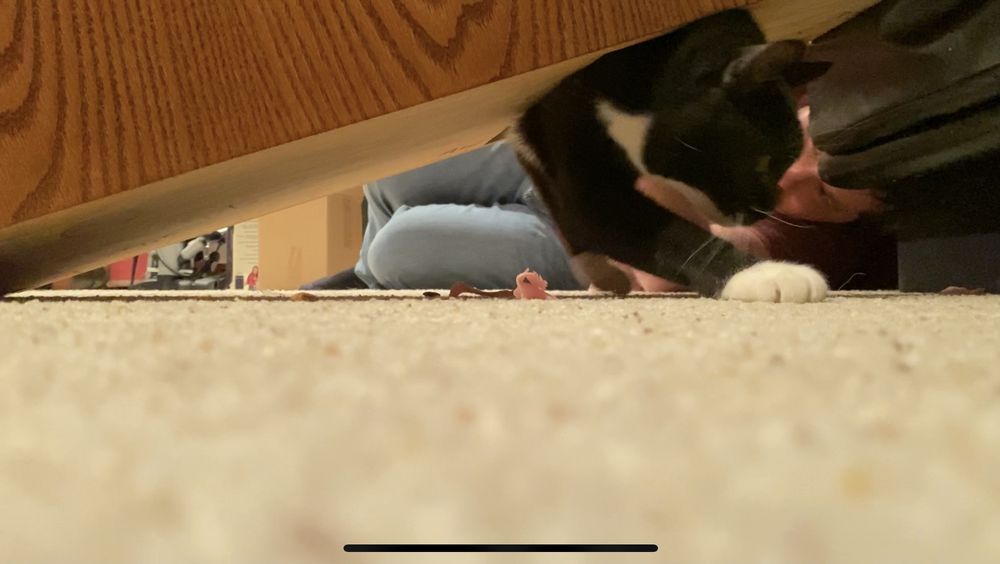 FODOR BILLIARDS & BARSTOOLS Updated June 2024 12 Reviews 5740 E