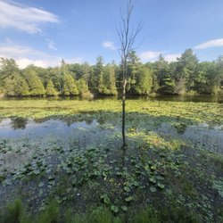 Pinery Provincial Park