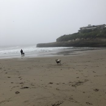 Sunny Cove Beach - Beaches Near Me - Santa Cruz, California Sunny Cove Beach - Beaches Near Me - Santa Cruz, California