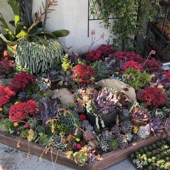 Enchanted Florist - Florists Near Me - Los Alamitos, California Enchanted Florist - Florists Near Me - Los Alamitos, California