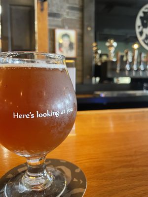 Medusa Brewing Company by null