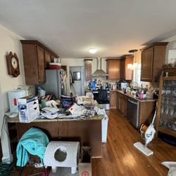 Platinum Shine Cleaning - The before