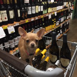 Holmdel Buy Rite - Challah loves wine shopping!