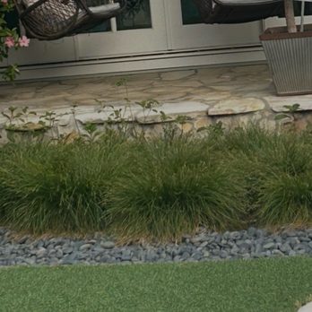 ClearVue Pro - Cut down plants - Window Washing Near Me