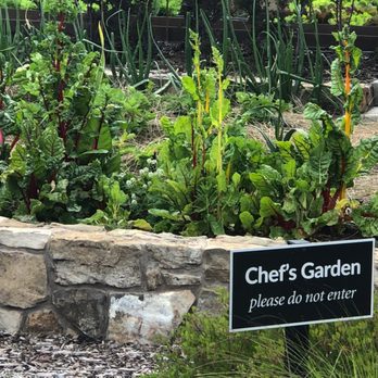 Niner Wine Estates - The Chef's Garden adds a fantastic touch to their already great meals! - Wine Tasting Room Near Me - Paso Robles, California Niner Wine Estates - The Chef's Garden adds a fantastic touch to their already great meals! - Wine Tasting Room Near Me - Paso Robles, California