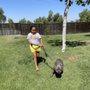 Photo of Bryan's Dog Boarding