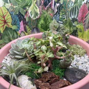 Jade & Clover - Nurseries & Gardening Near Me - Phoenix, Arizona