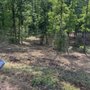 Photo of Old Glory Land Management