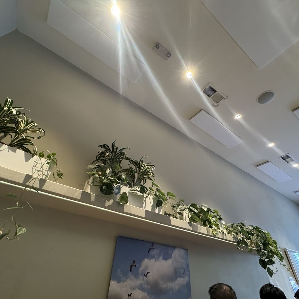 Compton's Coffee House - Great fresh plants - Coffee & Tea Near Me - San Francisco, California