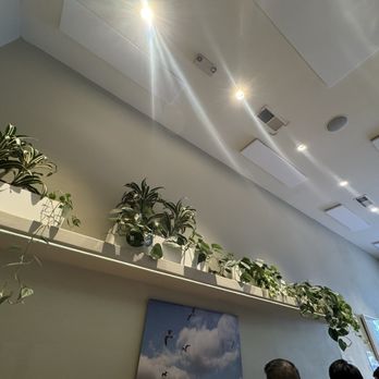 Compton's Coffee House - Great fresh plants - Coffee & Tea Near Me - San Francisco, California