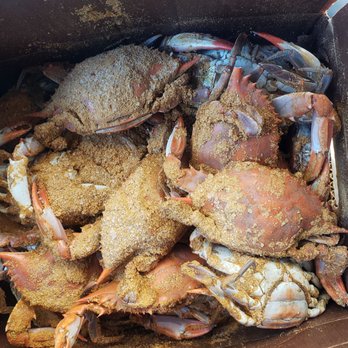 The Crab Galley - Crabs - Seafood Near Me - Odenton, Maryland The Crab Galley - Crabs - Seafood Near Me - Odenton, Maryland