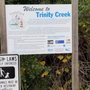 Photo of Trinity Creek Wetland Area