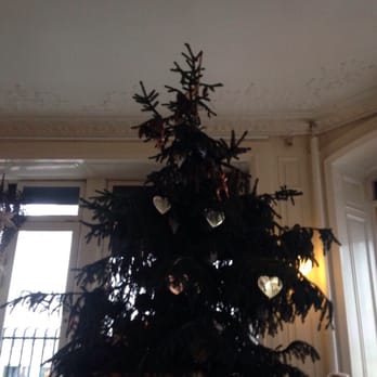 Cafe Norden - Christmas decor in place and a beautiful ceiling - Cafes Near Me - Copenhagen, 84 Cafe Norden - Christmas decor in place and a beautiful ceiling - Cafes Near Me - Copenhagen, 84