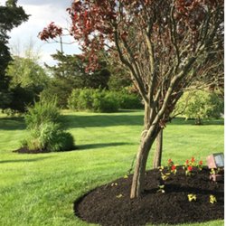 Sorbello's Landscaping