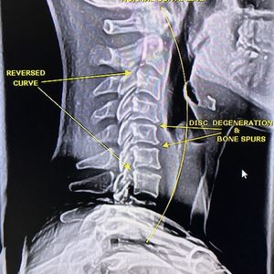 Back Bay Wellness & Chiropractic on Yelp