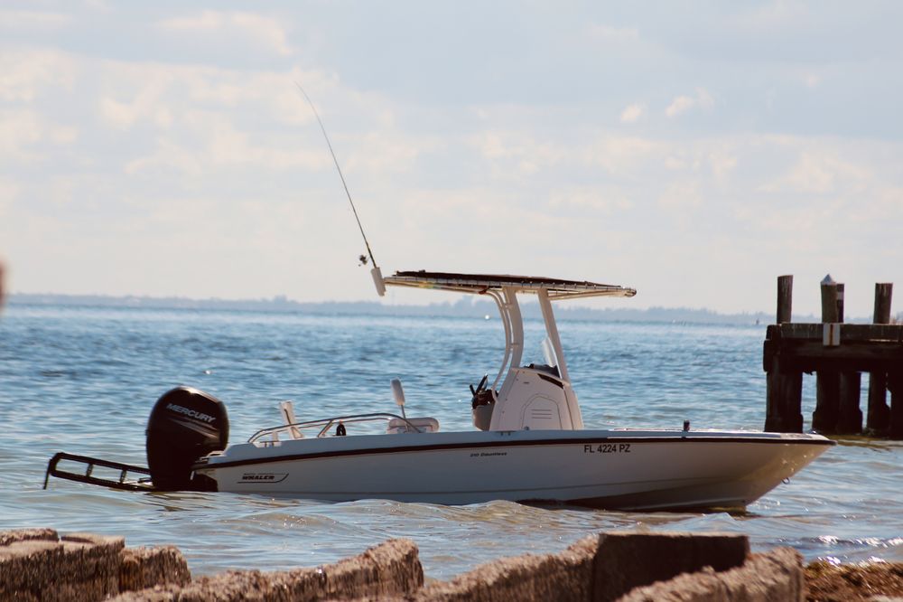 Coastal Excursions Logo