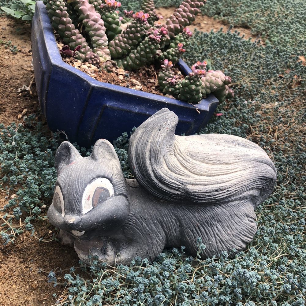 Poot's Cactus Nursery - Nurseries & Gardening Near Me - Ripon, California Poot's Cactus Nursery - Nurseries & Gardening Near Me - Ripon, California