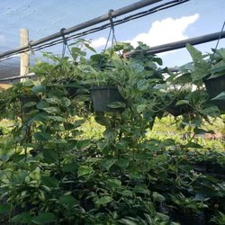 Santa Barbara Nursery