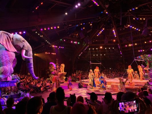 Disney Animal Kingdom by null