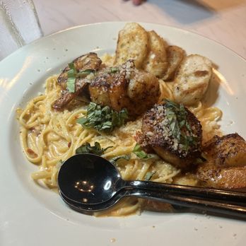 Salt Bar and Table - Shrimp and scallop linguine with vodka pasta - Bars Near Me - Bradenton Beach, Florida Salt Bar and Table - Shrimp and scallop linguine with vodka pasta - Bars Near Me - Bradenton Beach, Florida